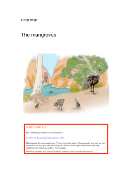 The mangroves - NSW Department of Education