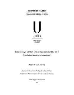 UNIVERSIDADE DE LISBOA Social memory in zebrafish: behavioral