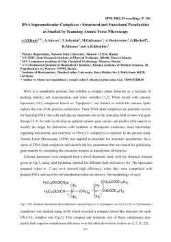 Liposomes were prepared from the dicationic lipid with the chemical