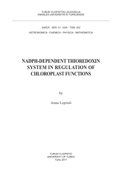 nadph-dependent thioredoxin system in regulation of chloroplast