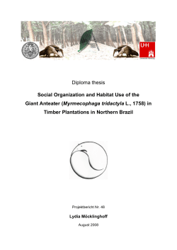 Diploma thesis Social Organization and Habitat Use of the Giant