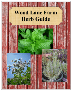 2013 Herb Guide