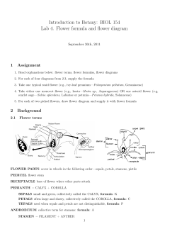 BIOL 154 Lab 4. Flower formula and flower diagram