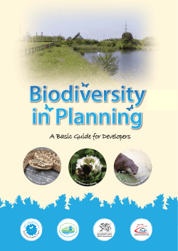 Biodiversity in Planning - Neath Port Talbot Council