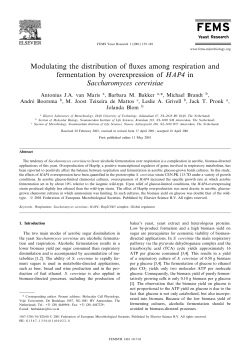Modulating the distribution of fluxes among respiration and