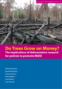 Do trees grow money? The implications of deforestation research for