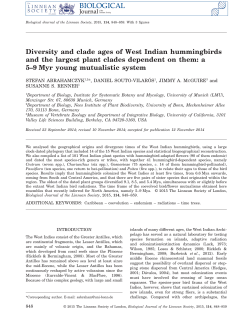 Diversity and clade ages of West Indian hummingbirds and the