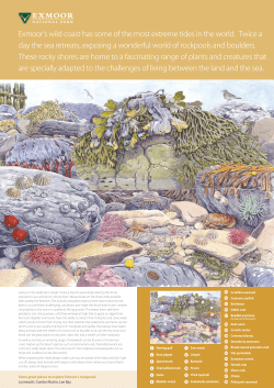 Exmoor`s wild coast has some of the most extreme tides in the world