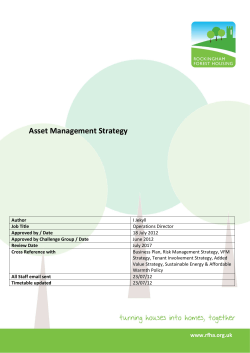 Asset Management Strategy