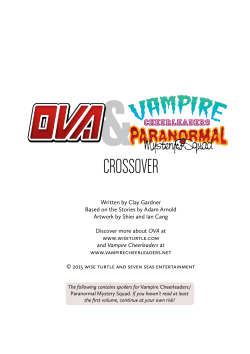 crossover - Wise Turtle