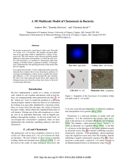 A 3D Multiscale Model of Chemotaxis in Bacteria