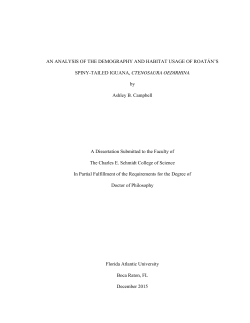 An Analysis of the Demography and Habitat Usage of