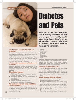 Diabetes and Pets - Diabetic Society of Singapore