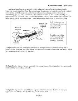 Cytoskeleton and Cell Motility CCM