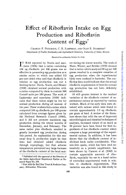 Effect of Riboflavin Intake on Egg Production and