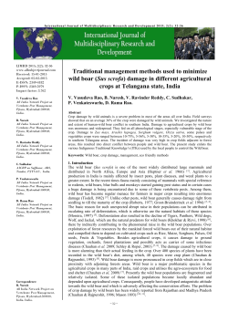 Traditional management methods used to minimize wild boar (Sus