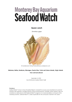 Full species report here