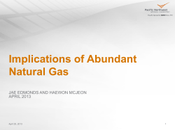 Implications of Abundant Natural Gas