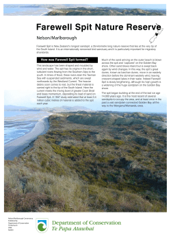 Farewell Spit Nature Reserve