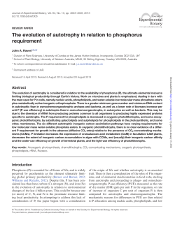 The evolution of autotrophy in relation to phosphorus requirement
