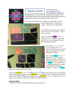 Double Aster - Peninsula Piecemakers Quilt Guild