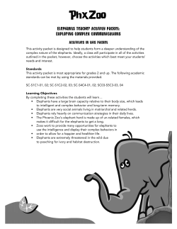 Elephants Teacher Activity Packet