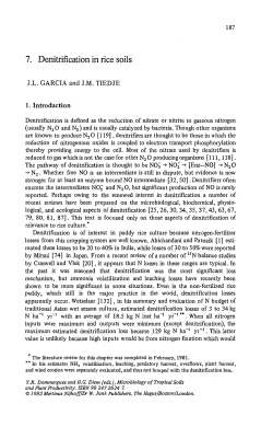 Denitrification in rice soils