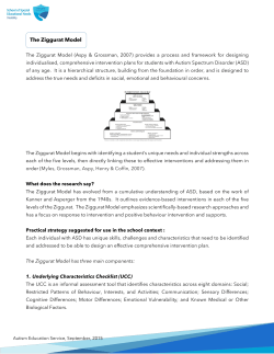 The Ziggurat Model