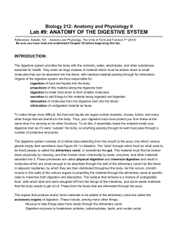 Digestive Anatomy Lab Week of April 3rd