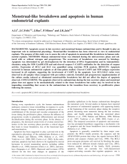 Menstrual-like breakdown and apoptosis in human endometrial
