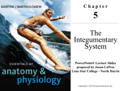 The Integumentary System