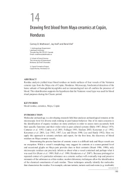 Drawing first blood from Maya ceramics at - ANU Press