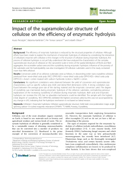 Impact of the supramolecular structure of cellulose on the efficiency
