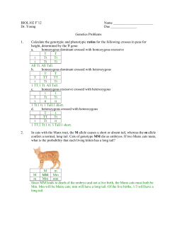 Genetics Answers F`12