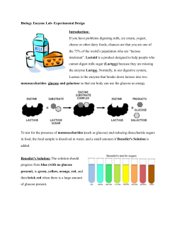 Biology Enzyme Lab (Lactaid)
