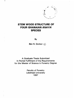 STEM WOOD STRUCTURE OF FOUR GHANAIAN KHAYA SPECIES