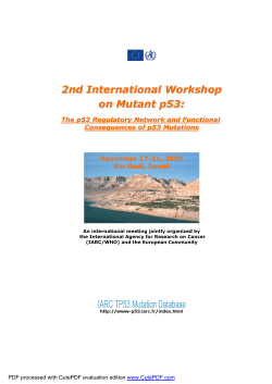 2nd International Workshop on Mutant p53