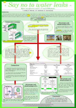 Say no to water leaks