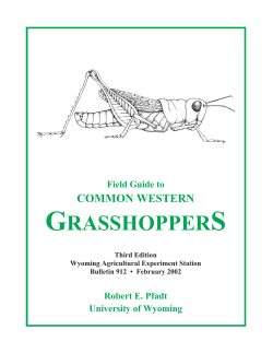 Field Guide to Common Western Grasshoppers
