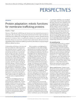 Protein adaptation: mitotic functions for membrane trafficking proteins