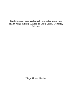 Exploration of agro-ecological options for improving maize