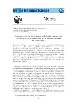 First insights into the effects of swimwithdolphin tourism on the