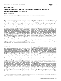 Structural biology of plasmid partition: uncovering the molecular