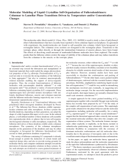 Molecular Modeling of Liquid Crystalline Self