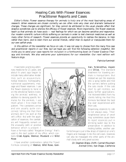 Healing Cats With Flower Essences