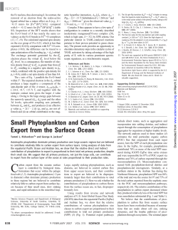 Small Phytoplankton and Carbon Export from the Surface Ocean