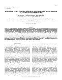Estimation of homing distance in desert ants, Cataglyphis fortis