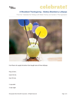 A Woodland Thanksgiving &ndash; Buttery Blackberry Lollipops
