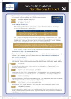 Caninsulin Diabetes Stabilisation Protocol