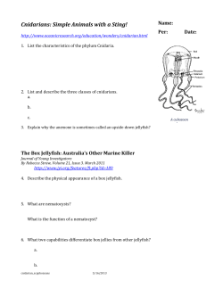 Cnidarians: Simple Animals with a Sting!